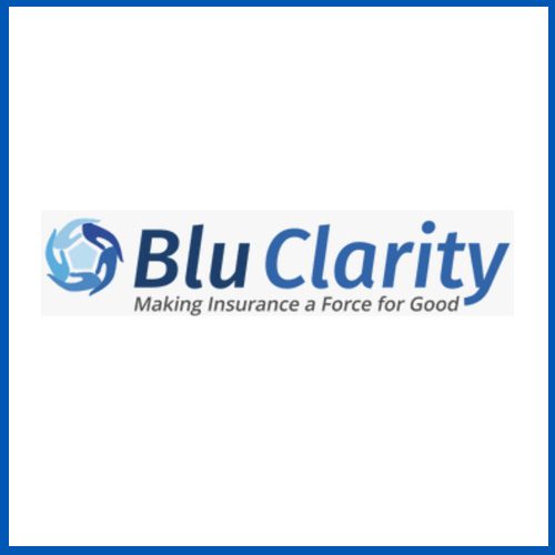 blueclarity blueclarity